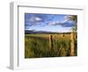 Hay Bales in Field, Whitefish, Montana, USA-Chuck Haney-Framed Photographic Print