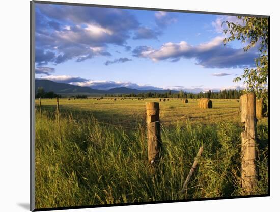 Hay Bales in Field, Whitefish, Montana, USA-Chuck Haney-Mounted Photographic Print