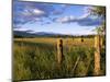 Hay Bales in Field, Whitefish, Montana, USA-Chuck Haney-Mounted Photographic Print