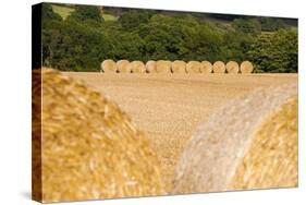 Hay Bales in the Cotswolds, Longborough, Gloucestershire, England, United Kingdom, Europe-Matthew Williams-Ellis-Stretched Canvas