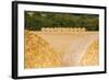 Hay Bales in the Cotswolds, Longborough, Gloucestershire, England, United Kingdom, Europe-Matthew Williams-Ellis-Framed Photographic Print