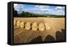 Hay Bales in the Cotswolds, Longborough, Gloucestershire, England, United Kingdom, Europe-Matthew Williams-Ellis-Framed Stretched Canvas