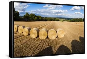 Hay Bales in the Cotswolds, Longborough, Gloucestershire, England, United Kingdom, Europe-Matthew Williams-Ellis-Framed Stretched Canvas