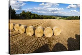 Hay Bales in the Cotswolds, Longborough, Gloucestershire, England, United Kingdom, Europe-Matthew Williams-Ellis-Stretched Canvas