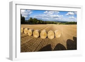 Hay Bales in the Cotswolds, Longborough, Gloucestershire, England, United Kingdom, Europe-Matthew Williams-Ellis-Framed Photographic Print