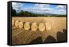 Hay Bales in the Cotswolds, Longborough, Gloucestershire, England, United Kingdom, Europe-Matthew Williams-Ellis-Framed Stretched Canvas