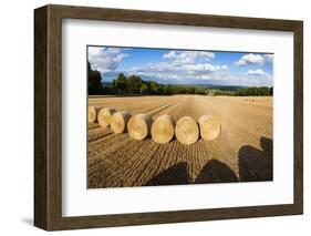 Hay Bales in the Cotswolds, Longborough, Gloucestershire, England, United Kingdom, Europe-Matthew Williams-Ellis-Framed Photographic Print