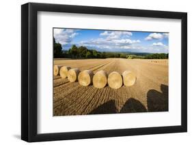 Hay Bales in the Cotswolds, Longborough, Gloucestershire, England, United Kingdom, Europe-Matthew Williams-Ellis-Framed Photographic Print