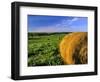 Hay Bales near Bottineau, North Dakota, USA-Chuck Haney-Framed Photographic Print