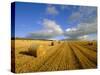 Hay Bales Near Contin, Highlands Region, Scotland, UK, Europe-Neale Clarke-Stretched Canvas