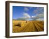 Hay Bales Near Contin, Highlands Region, Scotland, UK, Europe-Neale Clarke-Framed Photographic Print