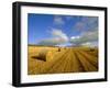 Hay Bales Near Contin, Highlands Region, Scotland, UK, Europe-Neale Clarke-Framed Photographic Print