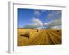 Hay Bales Near Contin, Highlands Region, Scotland, UK, Europe-Neale Clarke-Framed Photographic Print