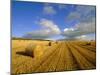 Hay Bales Near Contin, Highlands Region, Scotland, UK, Europe-Neale Clarke-Mounted Photographic Print