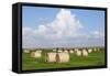 Hay Bales on a Meadow, Eiderstedt Peninsula, Schleswig Holstein, Germany, Europe-Markus Lange-Framed Stretched Canvas