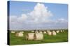 Hay Bales on a Meadow, Eiderstedt Peninsula, Schleswig Holstein, Germany, Europe-Markus Lange-Stretched Canvas
