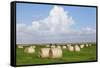 Hay Bales on a Meadow, Eiderstedt Peninsula, Schleswig Holstein, Germany, Europe-Markus Lange-Framed Stretched Canvas