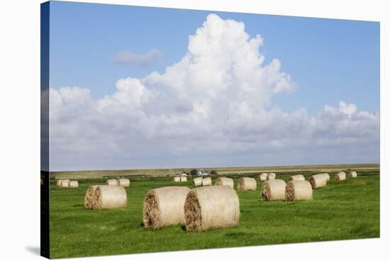 Hay Bales on a Meadow, Eiderstedt Peninsula, Schleswig Holstein, Germany, Europe-Markus Lange-Stretched Canvas