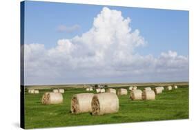 Hay Bales on a Meadow, Eiderstedt Peninsula, Schleswig Holstein, Germany, Europe-Markus Lange-Stretched Canvas