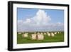 Hay Bales on a Meadow, Eiderstedt Peninsula, Schleswig Holstein, Germany, Europe-Markus Lange-Framed Photographic Print