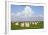 Hay Bales on a Meadow, Eiderstedt Peninsula, Schleswig Holstein, Germany, Europe-Markus Lange-Framed Photographic Print