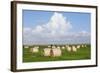 Hay Bales on a Meadow, Eiderstedt Peninsula, Schleswig Holstein, Germany, Europe-Markus Lange-Framed Photographic Print