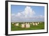 Hay Bales on a Meadow, Eiderstedt Peninsula, Schleswig Holstein, Germany, Europe-Markus Lange-Framed Photographic Print