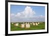 Hay Bales on a Meadow, Eiderstedt Peninsula, Schleswig Holstein, Germany, Europe-Markus Lange-Framed Photographic Print