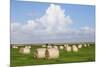 Hay Bales on a Meadow, Eiderstedt Peninsula, Schleswig Holstein, Germany, Europe-Markus Lange-Mounted Photographic Print