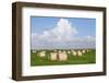 Hay Bales on a Meadow, Eiderstedt Peninsula, Schleswig Holstein, Germany, Europe-Markus Lange-Framed Photographic Print