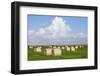 Hay Bales on a Meadow, Eiderstedt Peninsula, Schleswig Holstein, Germany, Europe-Markus Lange-Framed Photographic Print