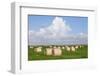Hay Bales on a Meadow, Eiderstedt Peninsula, Schleswig Holstein, Germany, Europe-Markus Lange-Framed Photographic Print