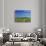 Hay Bales, Palouse Farm Country, Washington, USA-Adam Jones-Photographic Print displayed on a wall