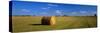 Hay Bales, South Dakota, USA-null-Stretched Canvas