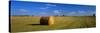 Hay Bales, South Dakota, USA-null-Stretched Canvas