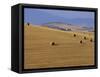 Hay Bales, Val d'Orcia, Siena Province, Tuscany, Italy, Europe-Sergio Pitamitz-Framed Stretched Canvas