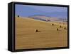 Hay Bales, Val d'Orcia, Siena Province, Tuscany, Italy, Europe-Sergio Pitamitz-Framed Stretched Canvas