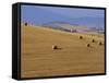 Hay Bales, Val d'Orcia, Siena Province, Tuscany, Italy, Europe-Sergio Pitamitz-Framed Stretched Canvas