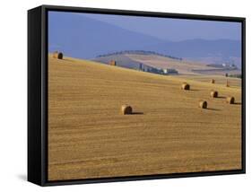 Hay Bales, Val d'Orcia, Siena Province, Tuscany, Italy, Europe-Sergio Pitamitz-Framed Stretched Canvas