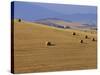 Hay Bales, Val d'Orcia, Siena Province, Tuscany, Italy, Europe-Sergio Pitamitz-Stretched Canvas