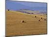 Hay Bales, Val d'Orcia, Siena Province, Tuscany, Italy, Europe-Sergio Pitamitz-Mounted Photographic Print