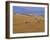 Hay Bales, Val d'Orcia, Siena Province, Tuscany, Italy, Europe-Sergio Pitamitz-Framed Photographic Print