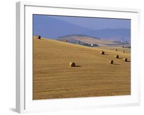 Hay Bales, Val d'Orcia, Siena Province, Tuscany, Italy, Europe-Sergio Pitamitz-Framed Photographic Print