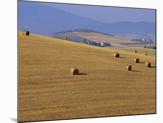 Hay Bales, Val d'Orcia, Siena Province, Tuscany, Italy, Europe-Sergio Pitamitz-Mounted Photographic Print