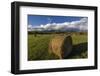 Hay bales with Big Mountain in Whitefish, Montana, USA-Chuck Haney-Framed Photographic Print