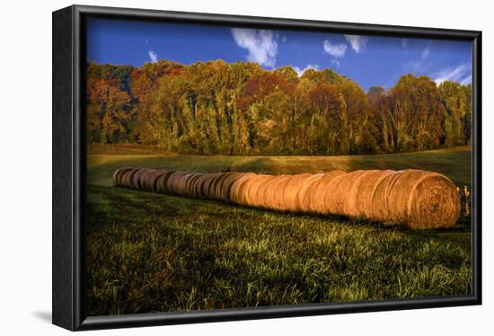 Hay Bales-Robert Lott-Framed Art Print