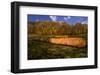 Hay Bales-Robert Lott-Framed Art Print