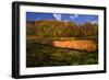 Hay Bales-Robert Lott-Framed Art Print