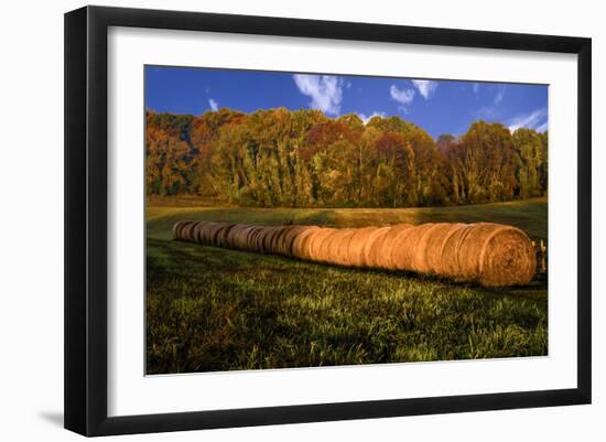 Hay Bales-Robert Lott-Framed Art Print