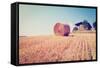 Hay Bales-gkuna-Framed Stretched Canvas